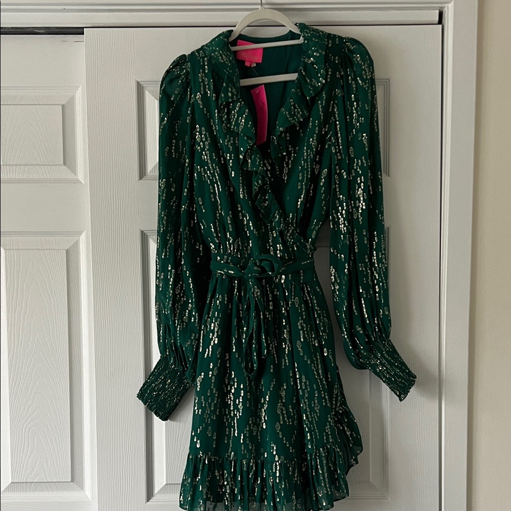 NWT - Lily Birdy Long Sleeve Silk Dress - Evergreen - Size 16 - Picture 3 of 10